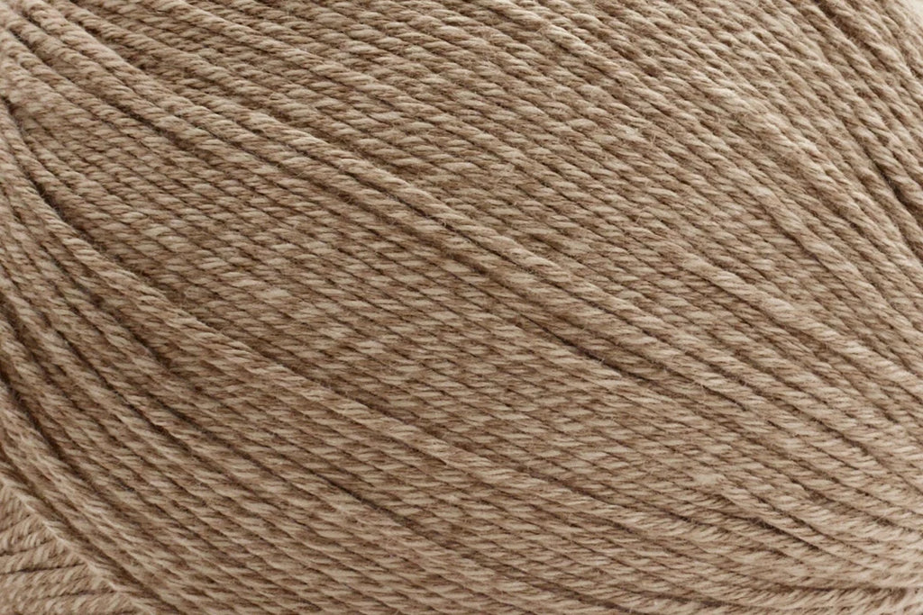 Bamboo Pop